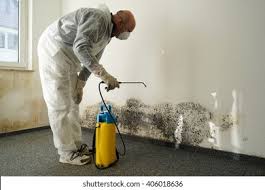 Why You Should Choose Our Mold Remediation Services in Monson Center, MA